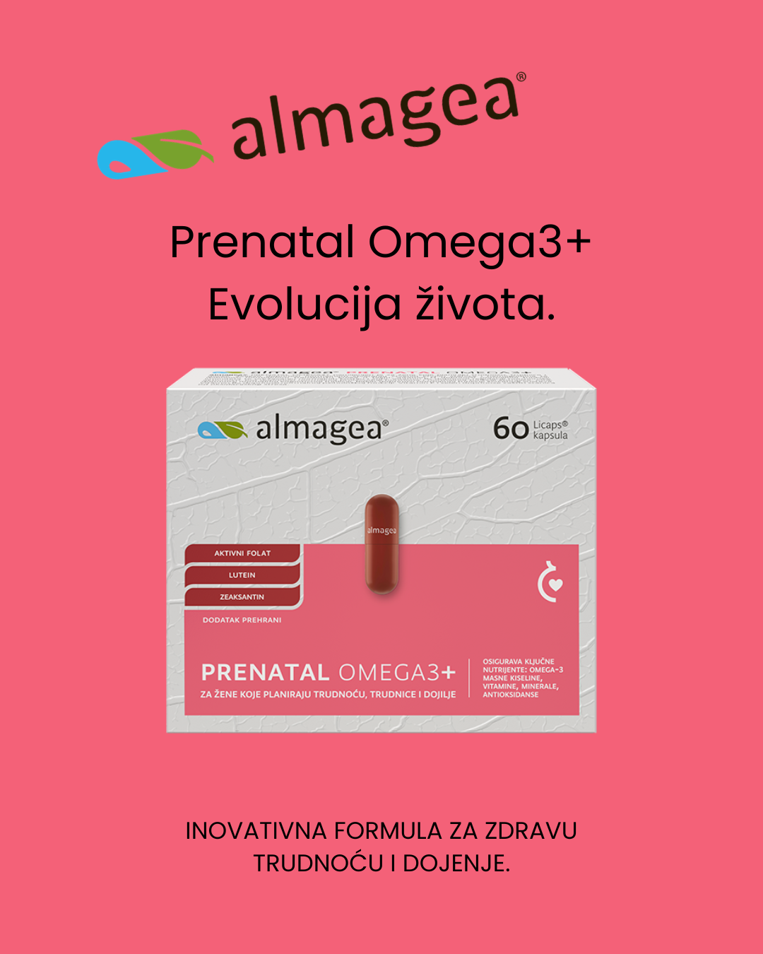sponzori jza 26